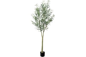 ROMANTIC SEASON 6FT Artificial Olive Tree, Faux Olive Tree Plant with Natural Wood Trunk and Realistic Leaves and Fruits for Home House Office Décor