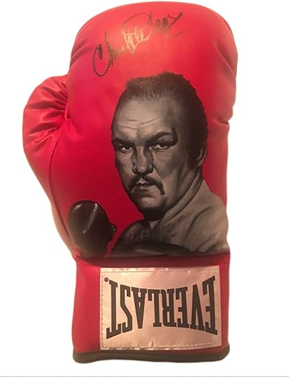 custom everlast gloves