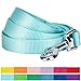 Blueberry Pet Essentials Mint Blue Dog Leash for Medium - 5' * 3/4