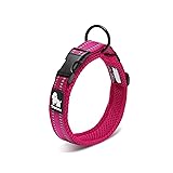 Chai's Choice Dog Collar Large