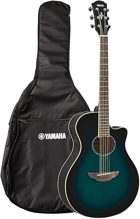 yamaha apx600 gig bag