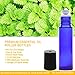 Rioa 10ml(1/3oz) Roll on Glass Bottle- Set of 6 for Essential Oil - Empty Aromatherapy Essential Oils, Perfume Bottles - Refillable Slim with Metal Ball and Black Plastic Lid