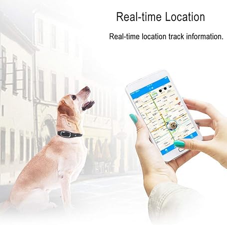 dog pedometer amazon