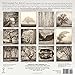The Nature Of Trees - Photography By Paul Kozal 2018 Wall Calendar (CA0148)