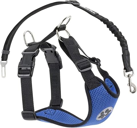 amazon uk dog car harness