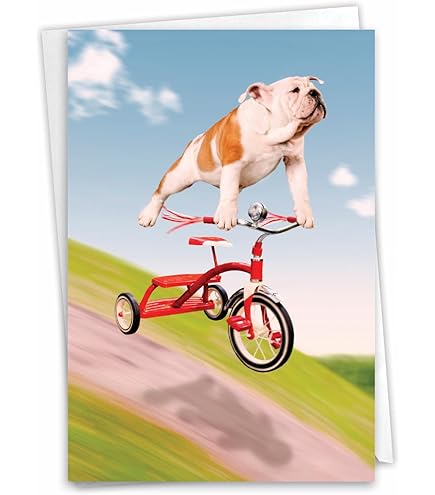 Old English Co. Carte De Vu0153ux D'anniversaire Pour Petit-fils U2013 Carte D'anniversaire Avec Poème De Randonnée Pour Lui U2013 Adulte Ou