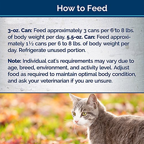 blue wilderness wild delights