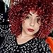 AISI HAIR Synthetic Afro Curly Hair Wigs Full Red Wig Short Curly Wigs for Women Kinky Curly(red)