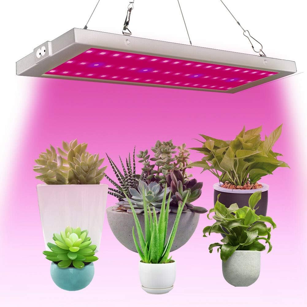 300W 54 LED Grow Lights, Full Spectrum Little Solid Grow Lamp with IR