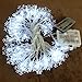 Homeleo 50 Led Cold White Snowflake LED Fairy Lights with Remote Control, Battery Powered Snowflake Shaped LED String Lights for Christmas Outdoor, Party, Wedding, New Year, Garden Décor