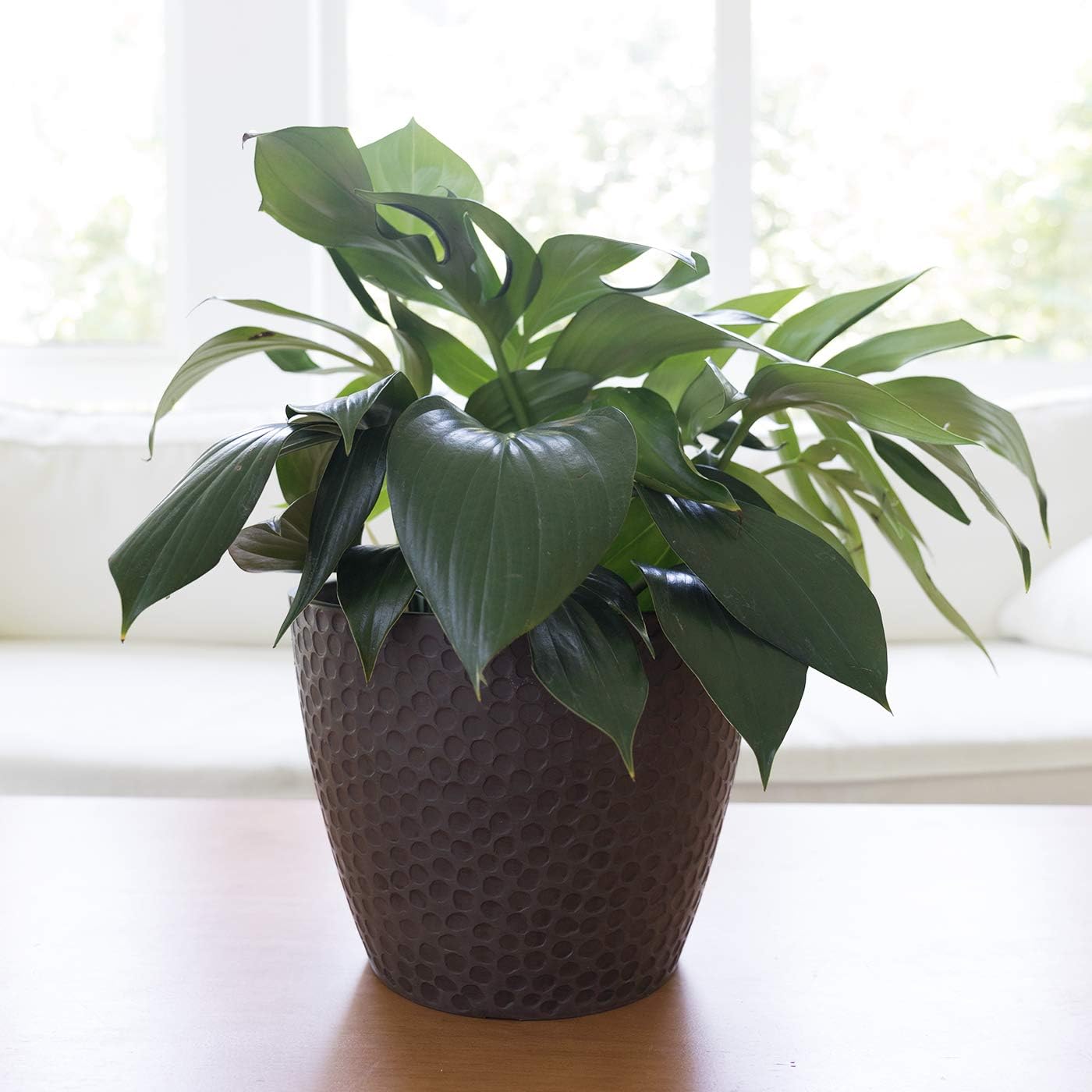 LA JOLIE MUSE 9.4 inch Plant Pot for Indoor and Outdoor Plants, Modern Chic Planter with Honeycomb Pattern, Brown : Garden & Outdoor