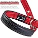 PETBABAB Padded Dog Collar with Metal Buckle, Soft to Protect Neck, Reflective at Safe Night Walk, Rugged to Last Long in Walking Training Pet in Red