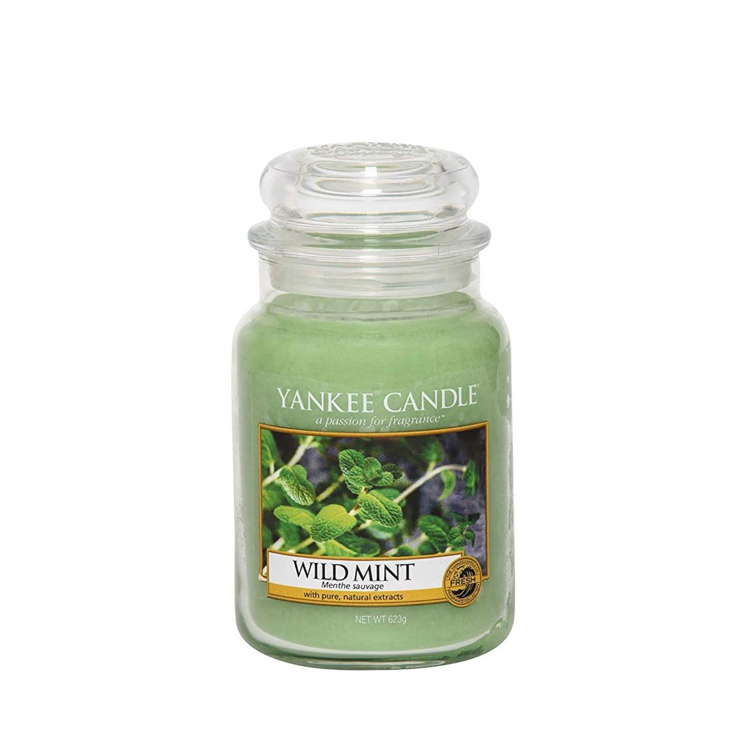 Yankee Candle Wild Mint Jar Candle, Green, Large Amazon.co.uk Kitchen