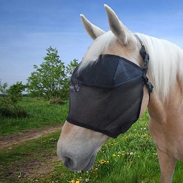 Rugged Ride Breathable Horse Fly Mask With Ear Protection - Lightweight Mesh Hood For UV & Insect Protection Fly Mask Horse Rugged Ride Breathable Horse Fly Mask With Ear Protection - Lightweight Mesh Hood For UV & Insect Protection Fly Mask Horse