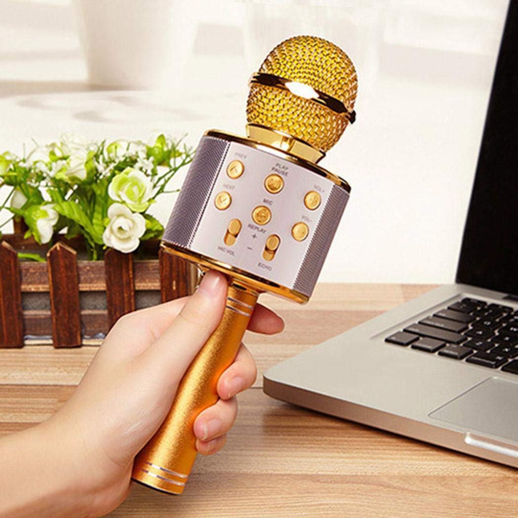 FANEO Wireless Bluetooth Microphone Audio Mobile Phone Karaoke Microphone Microphones