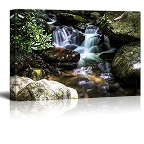 Smoky Mountain Stream for Spa Decor Wall Decor
