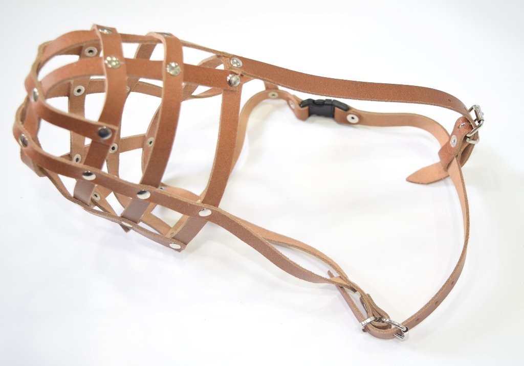 muzzle for staffy dogs