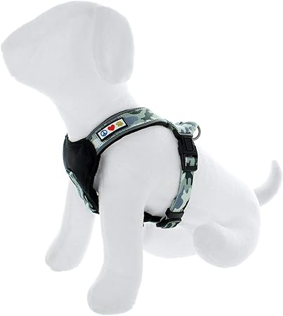 grey puppy harness