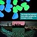 SUNNEST Glow in The Dark Pebbles, Glow Decorative Stones Rocks, Luminous Pebbles for Outdoor Decor, Garden Lawn Yard, Aquarium, Walkway, Fish Tank, Pathway, Driveway(200PCS) (Blue&Green)