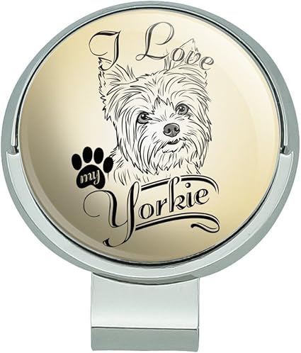 yorkie ball