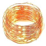 USB LED String Lights,Oak Leaf 2 Set of 60 LEDs Starry Lights Copper Wire for Home Bedroom Party Wedding Decoration (19.7ft,Warm White)