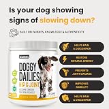 iKarmel Joint Supplements for Dogs | Hip and Joint Care 270 Chews view 2