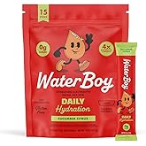 Waterboy Daily Hydration | 1,570mg Electrolyte Powder Packets | No Sugar, All Natural, Gluten Free, Zero Calories | 15 Drink Stick Mixes (Cucumber Citrus)