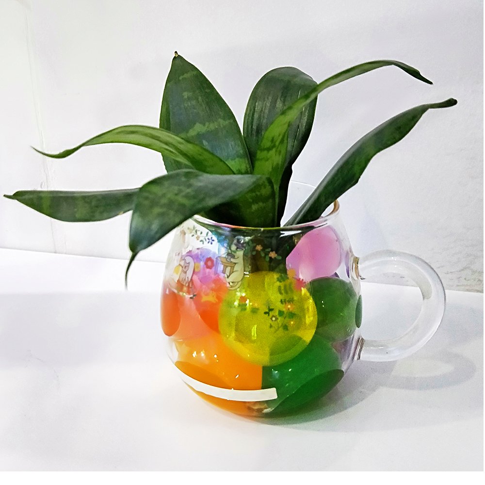 cnomg 300pcs Large Water Gel Beads, Water Beads Water Jelly Pearls Rainbow Mix for Kids Playing, Wedding Home Decoration, Plants Vase Filler