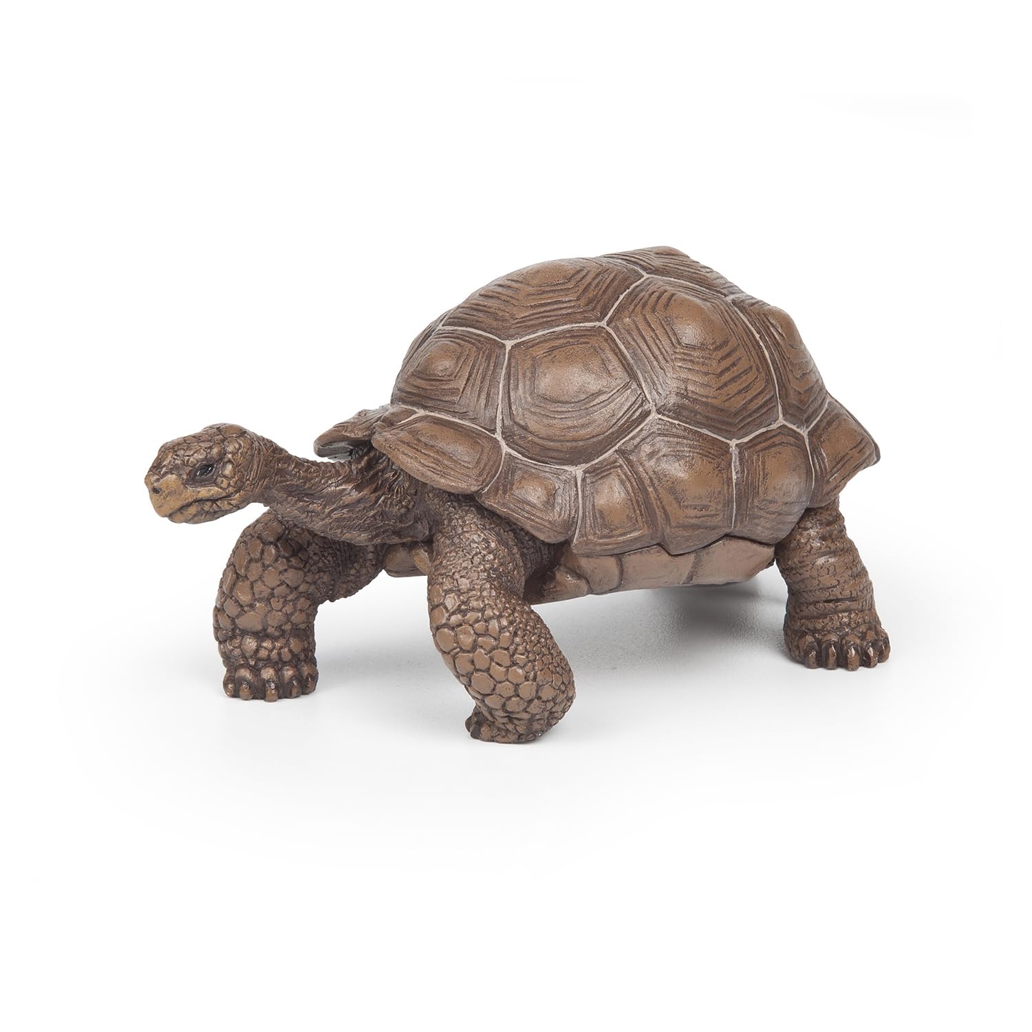 Papo - Realistic Galapagos Tortoise Figure - Ages 3+ - Wild Life Collection - Educational Play Exotic Reptiles - Gift Idea Toy for Girls and Boys