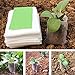 500 pcs Seedling Plant Grow Bags, Biodegradable Non-Woven Nursery Fabric Seeding Starting Fiber Soil Transplant Pouches, Home Garden Supply (500Pcs)thumb 4