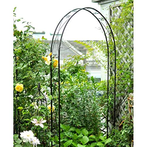 AAQQ Rosenbogen, 115 cm X 12 cm X 240 cm, Kletterpflanzen Laube Pergola Torbogen Patio, Lauben für den Garten… – Bild 3