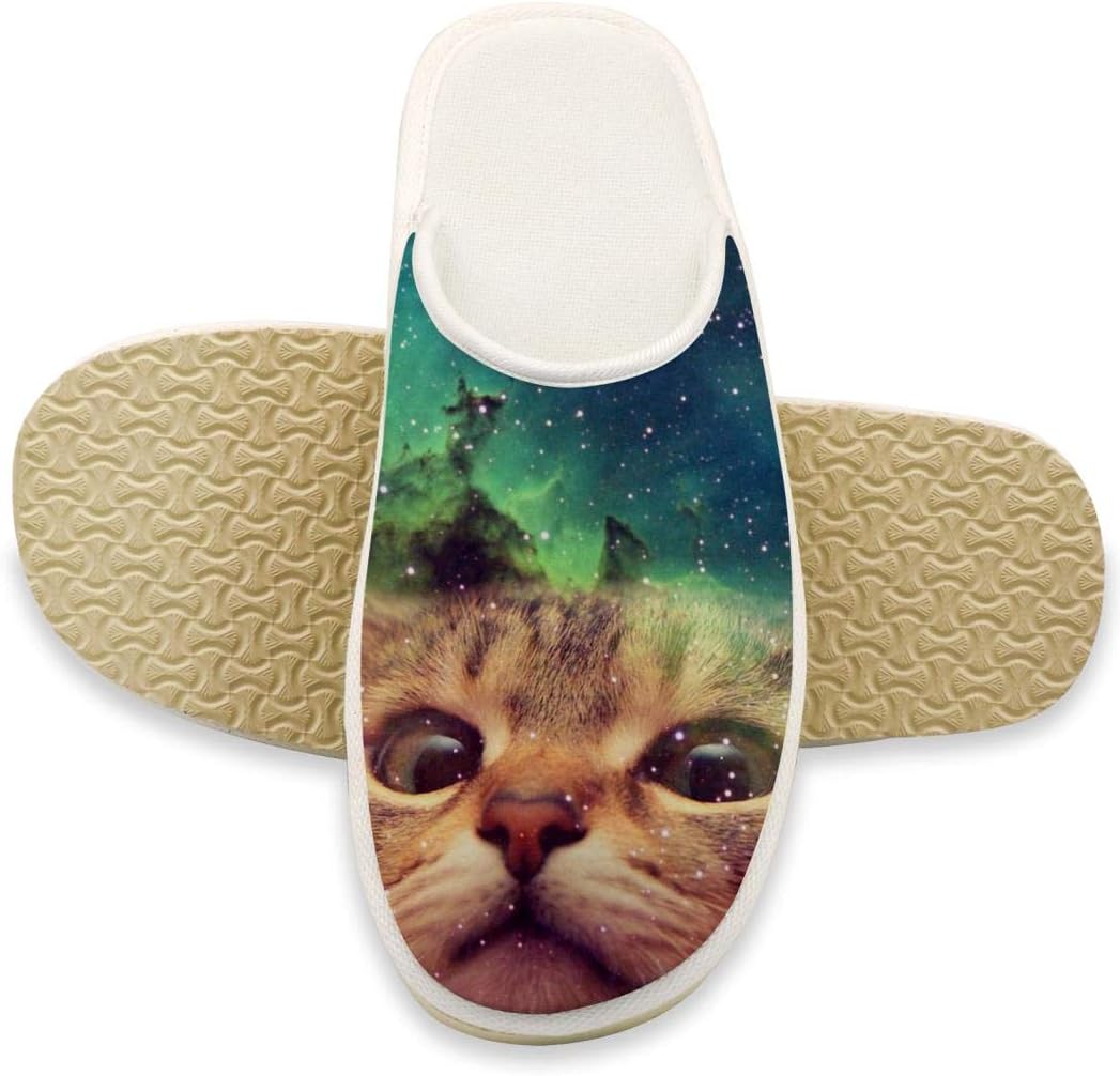 tabby cat slippers