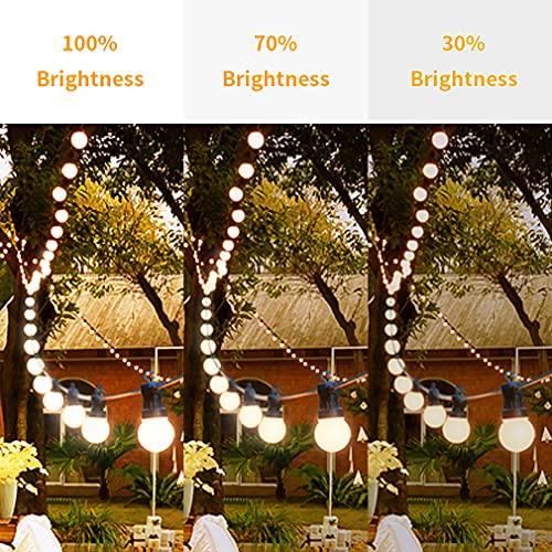 UNILAMP Salt Lamp Bulbs, 25 Watt E12 Socket Appliance Light Bulb