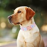 Unique Style Paws Pink Flower Dog Collar XS-XL Soft Adjustable view 4
