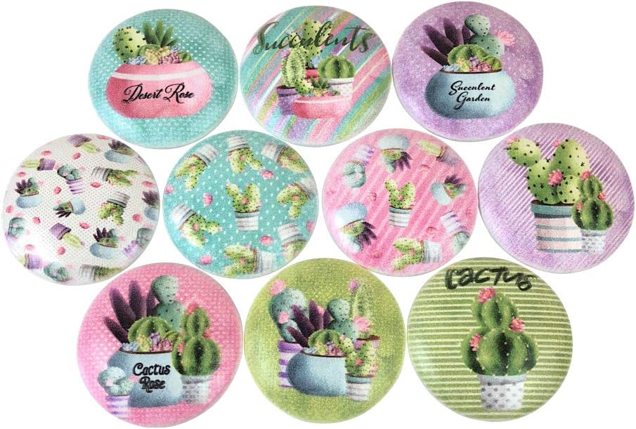 Set of 10 Colorful Succulent and Cactus Wood Cabinet Knobs