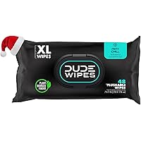 DUDE Wipes Flushable Wet Wipes Dispenser, Mint Chill, 48Count - Scented Wet Wipes with Vitamin-E, Aloe, Eucalyptus & Tea Tree