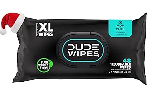 DUDE Wipes Flushable Wet Wipes Dispenser, Mint Chill, 48Count - Scented Wet Wipes with Vitamin-E, Aloe, Eucalyptus & Tea Tree