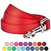 Blueberry Pet 19 Colors Durable Classic Dog Leash 5 ft x 5/8