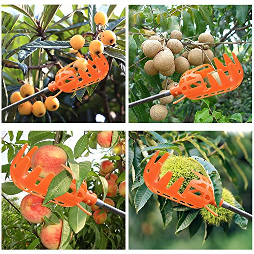 HANZIUP Plastic Fruit Picker Basket Head, Labor Saving Tool Fruits Catcher for Harvest Picking Apple Mango Pear Peach Mango Kiwi Lemon Cherry