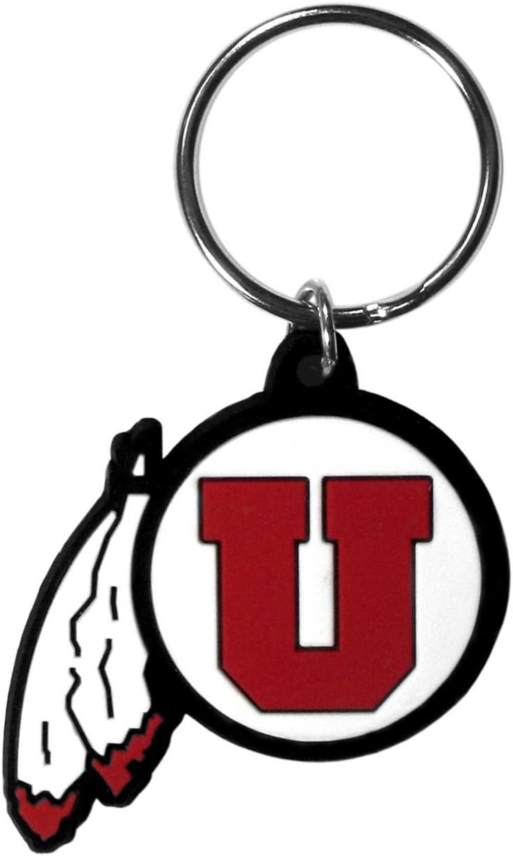 NCAA Siskiyou Sports Fan Shop Michigan Wolverines Flex Key Chain One Size Team Color : Sports Fan Keychains : Sports & Outdoors