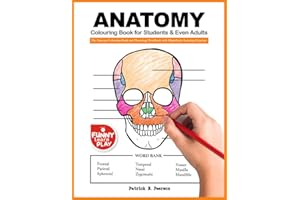 Anatomy Colouring Book for Students & Even Adults: The Anatomy Colouring Book and Physiology Workbook with Magnificent Learni