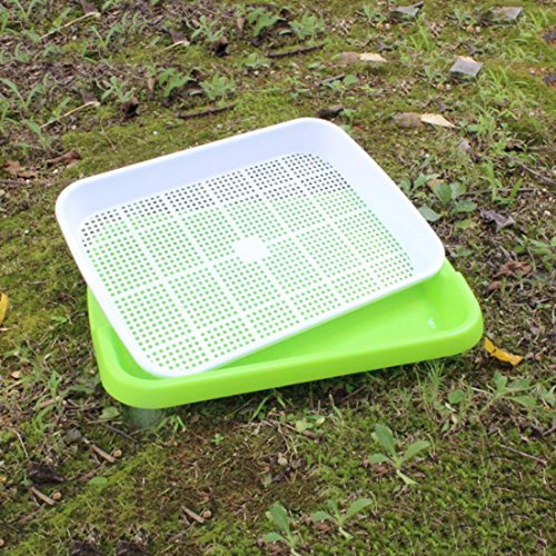 RuiyiF Seed Sprouter Tray, 2 Set Seed Germination Trays with Water Tray, Wheatgrass Tray/Bean Sprout Grower (Green + White)