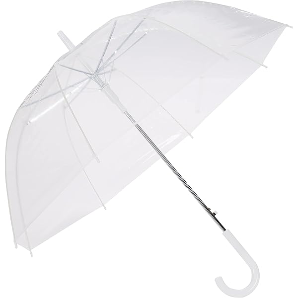 Total 73+ imagen clear umbrella kate spade Abzlocal.mx