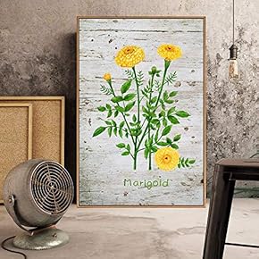 Floating Framed Canvas Wall Art for Living Room, Bedroom Plant Canvas Prints for Home Decoration Ready to Hang - 16x24 inches