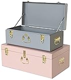 Vixdonos Decorative Metal Box Storage Trunks Set of