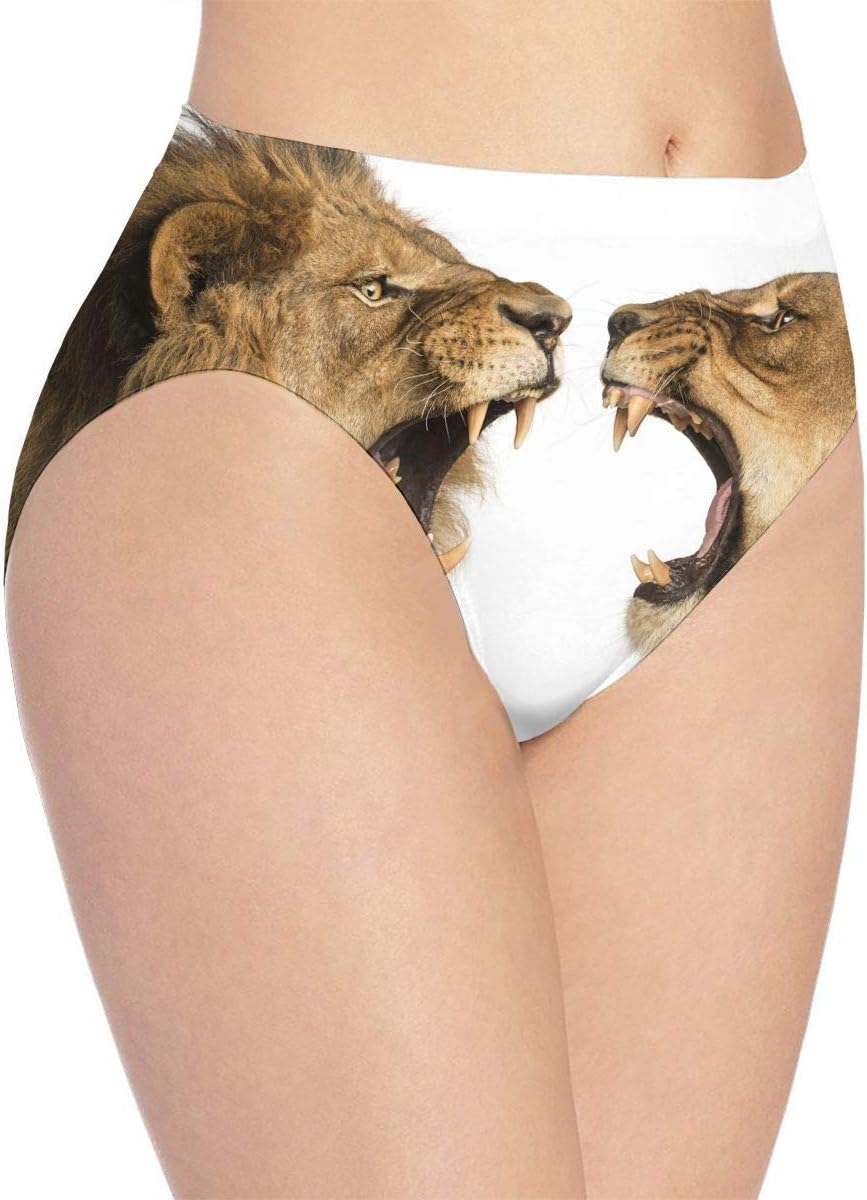 Women's Lion Lioness Roar Art Print Underwear,Girls Cute Hipster Briefs Panties