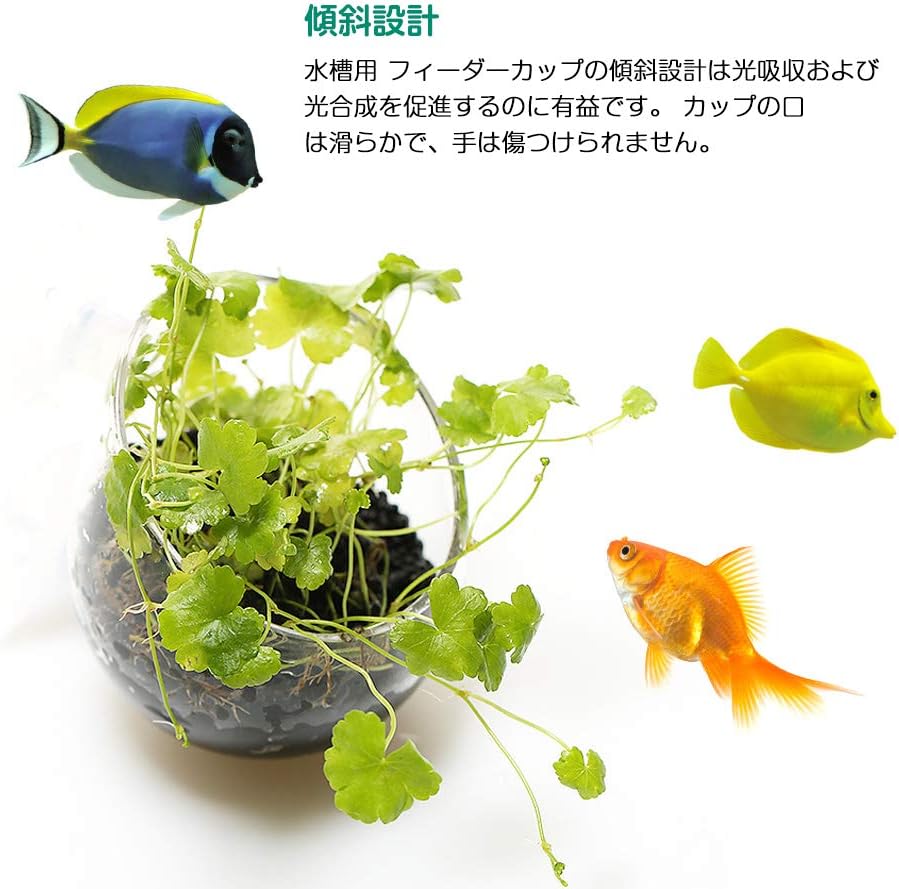 Amazon Pssopp 水槽用 フィーダーカップ 水槽用 餌入れ 餌やり器 水草 ポット 栽培カップ アクアリウム 熱帯魚 植物カップ ガラス 取り外し可能 魚エサ皿 吸盤付き 水族館 水槽 魚タンクに最適 手軽 ワームフィーダ 給餌器 Pssopp 自動給餌器 通販