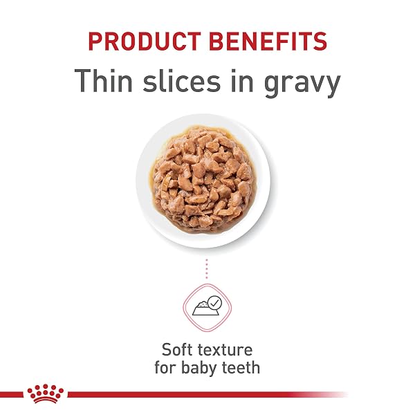 ROYAL CANIN FELINE HEALTH NUTRITION KITTEN THIN SLICES IN GRAVY CAT FOOD, 3 OZ (PACK OF 24)