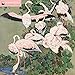 Flamingoes Wall Calendar 2020 (Art Calendar) by 