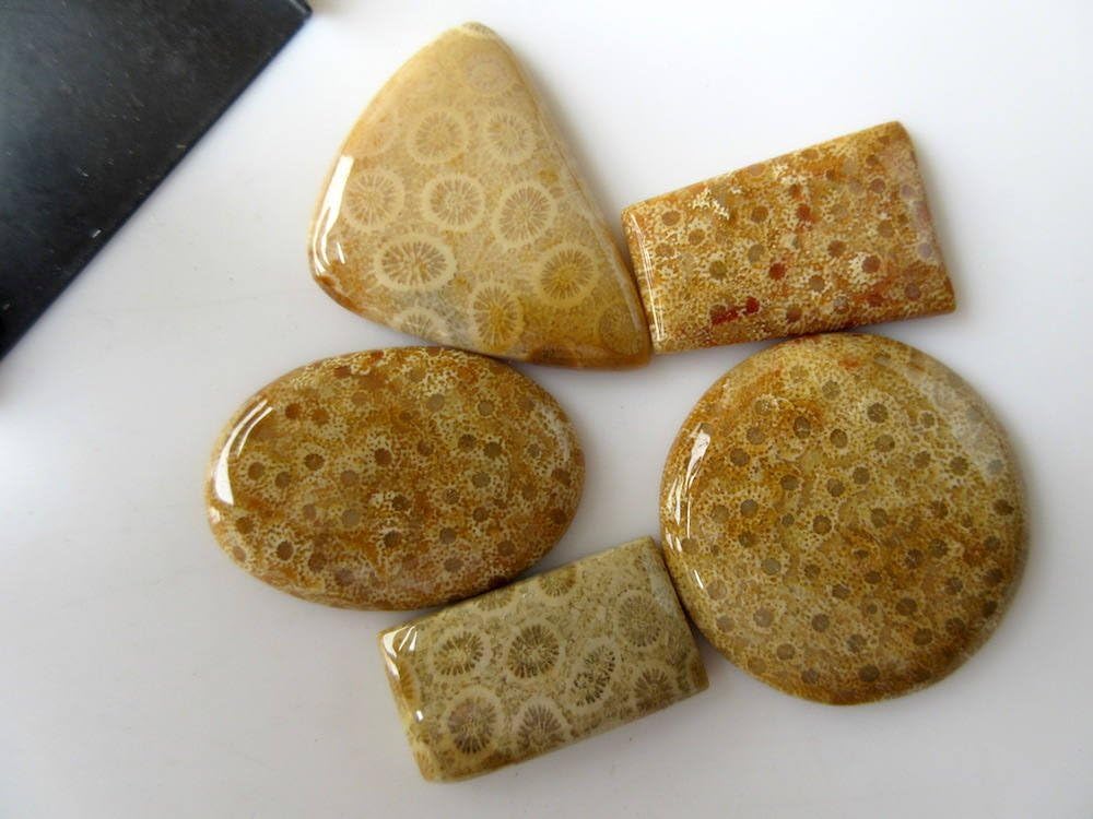 100 Pcs Huge 29mm to 38mm Natural Bumble Bee Jasper Smooth Gemstone Flat Back Cabochons -BB465/11
